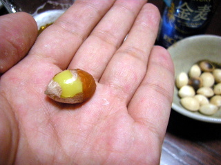 icho0004.JPG