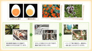 item_tamago_kodawari.jpg