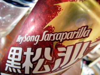 sarsaP03.JPG